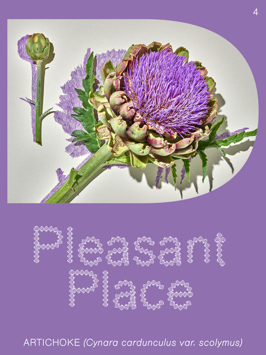 Pleasant Place 4: Artichoke